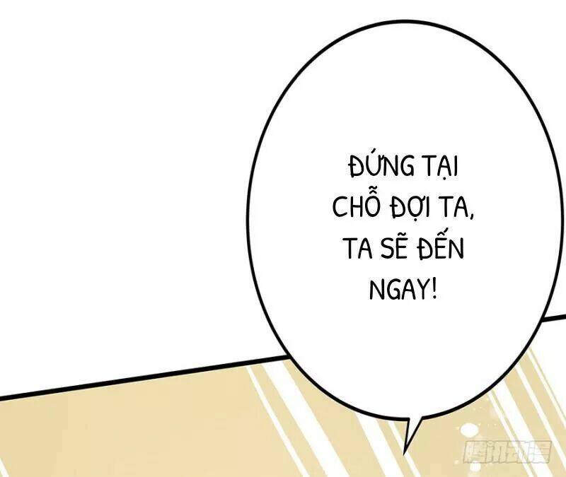 Chào Buổi Sáng, Ức Vạn Manh Thê: Chapter 24