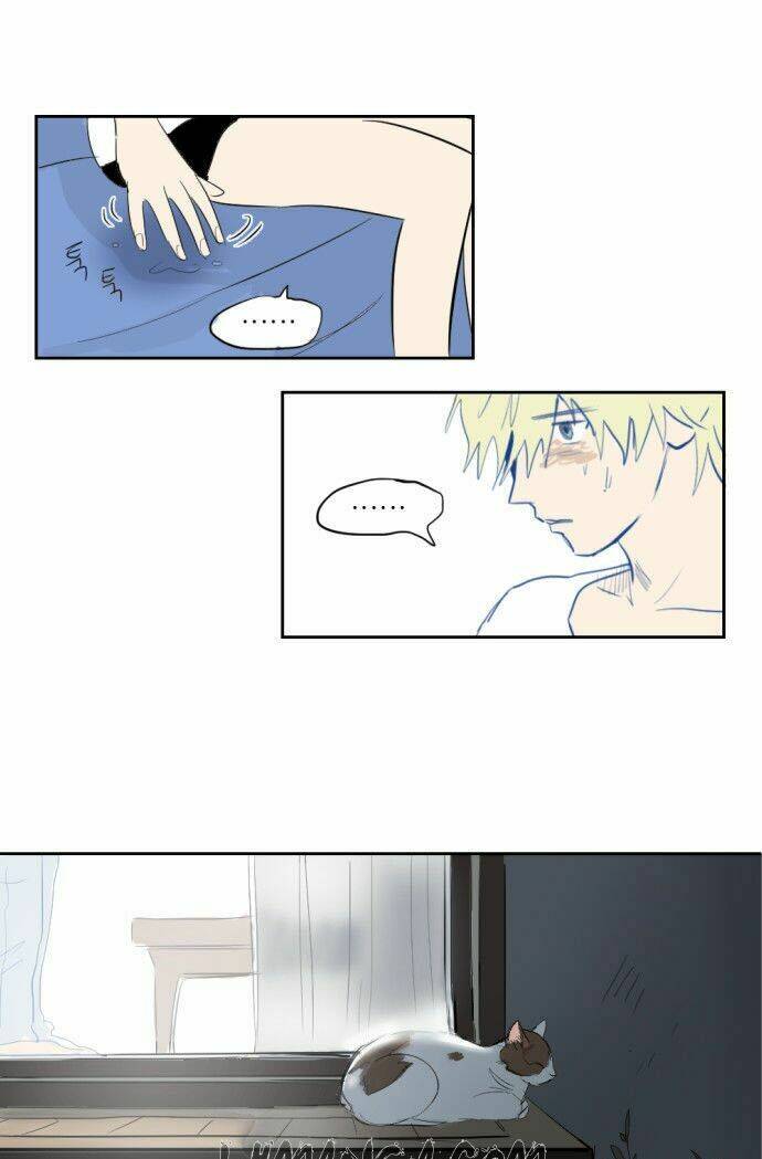 Transparent Cohabitation: Chapter 3