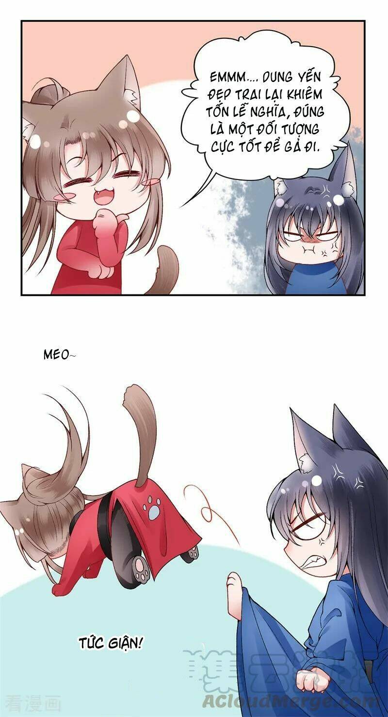 Hoàng Phi 9000 Tuổi: Chapter 87