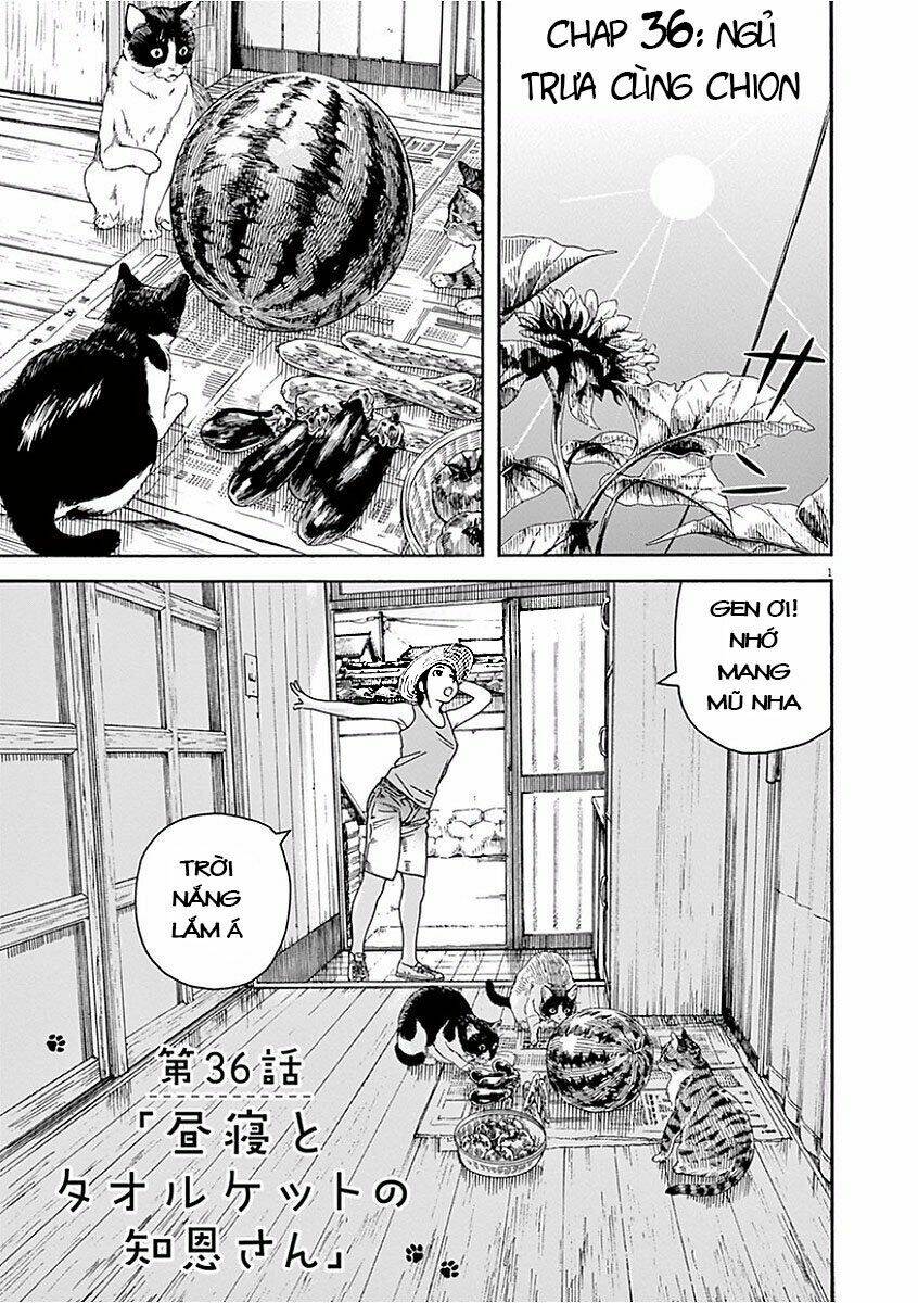 Neko No Otera No Chion-San: Chapter 36