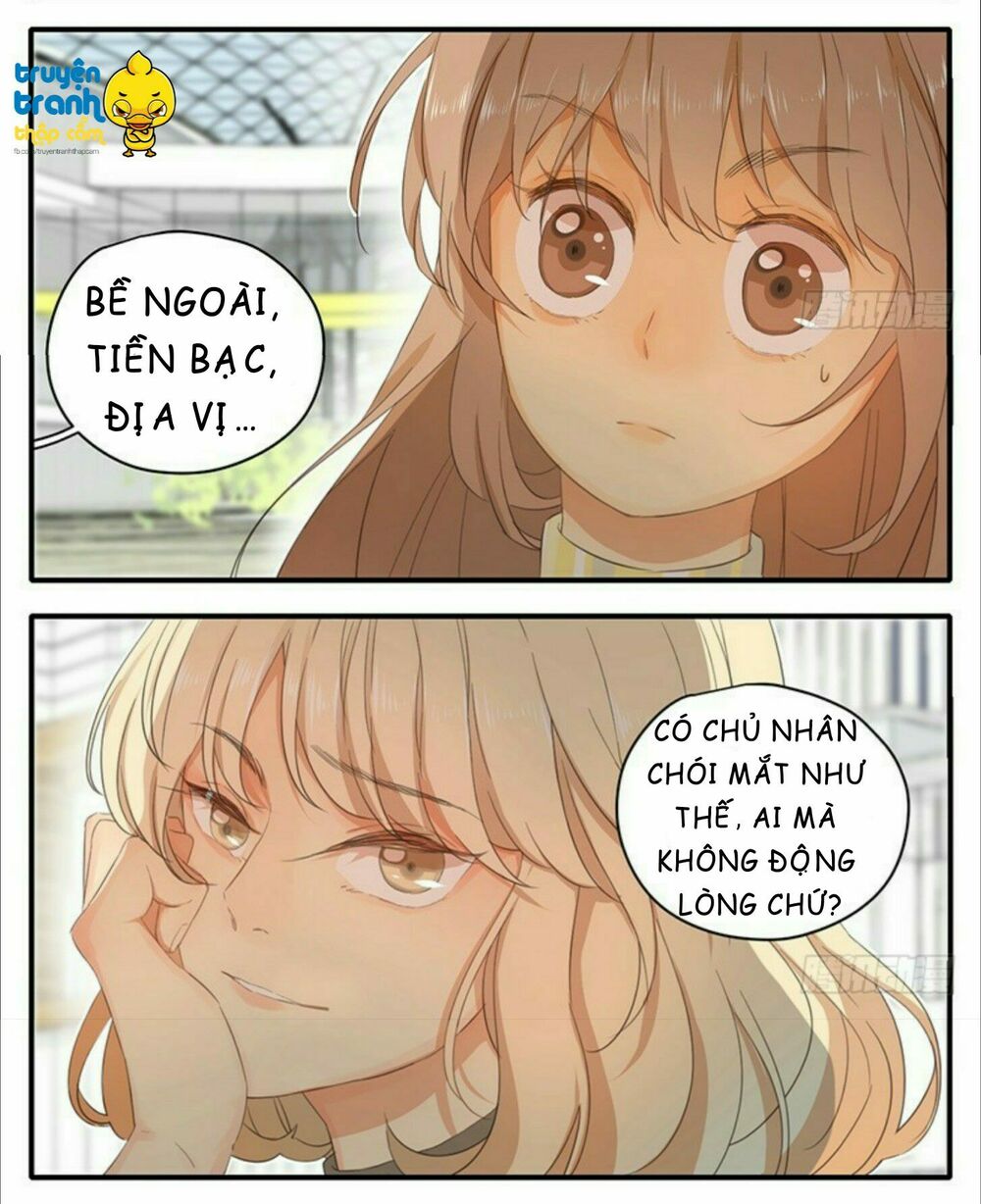 Cứu mạng ! Loài mèo thống trị thế giới rồi !: Chapter 35