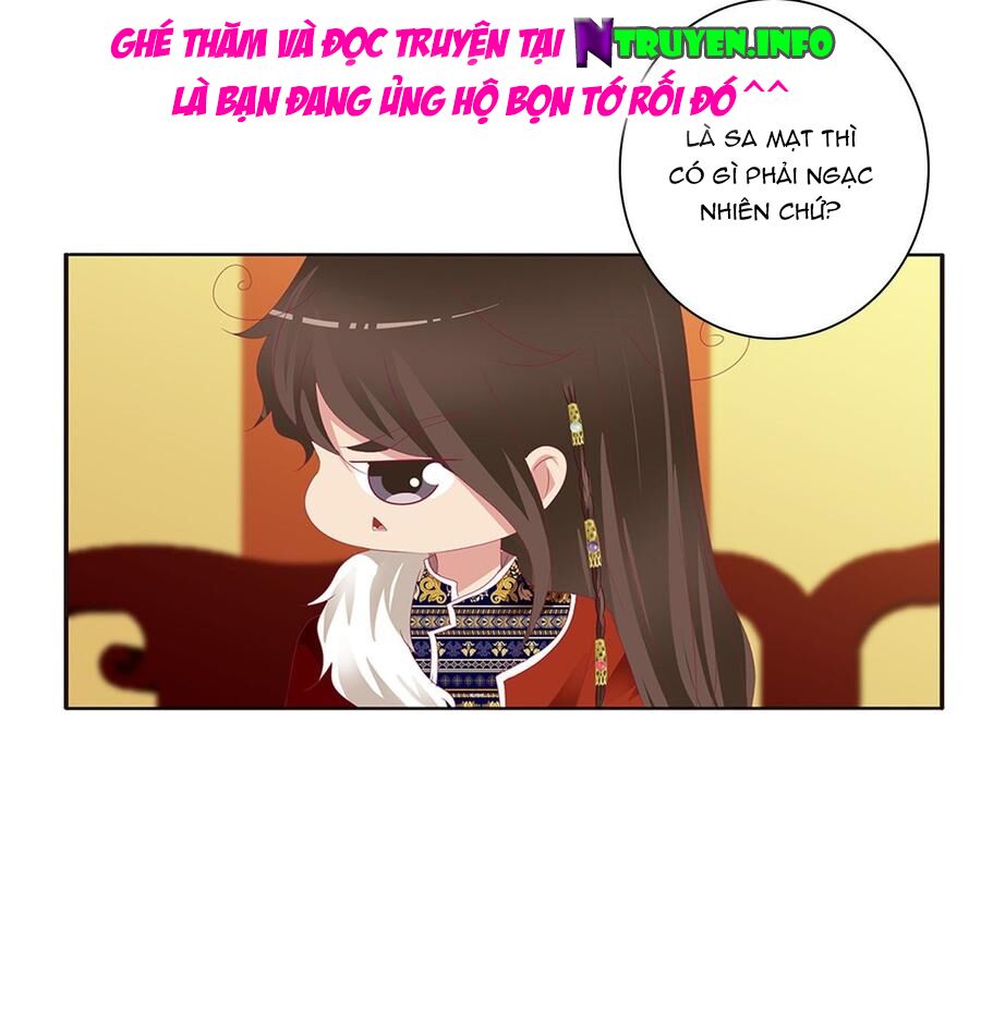 Thông Linh Phi: Chapter 555