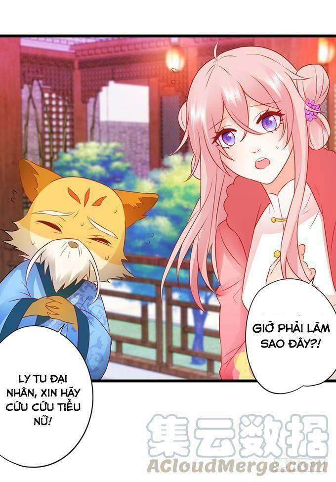 Hồ Tiên Hung Bạo: Chapter 63