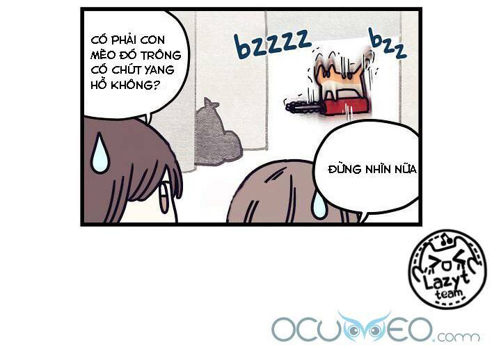 Khi Loài Mèo Làm Bá Chủ Thế Giới: Chapter 5