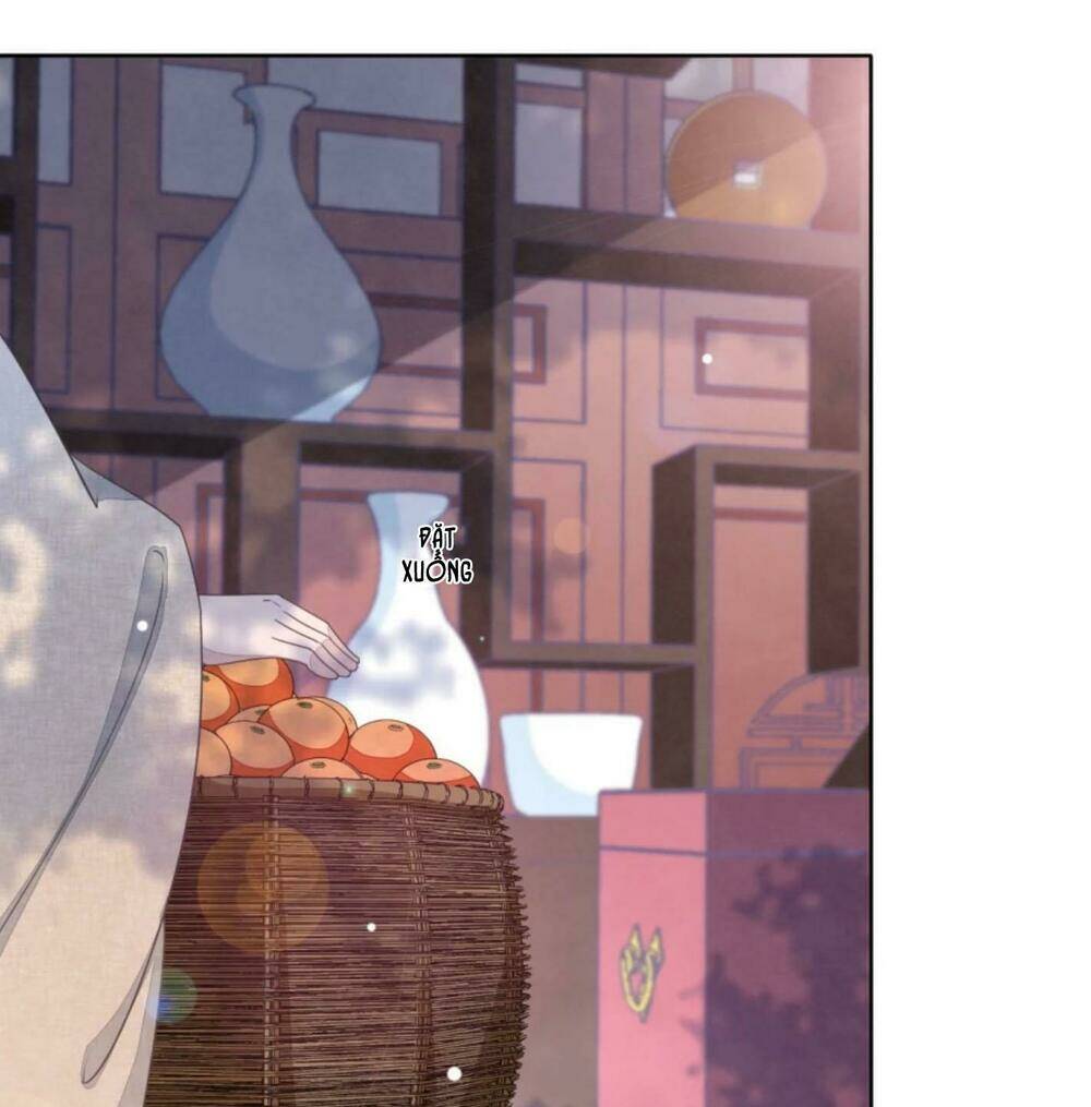 Xuyên Về Cổ Đại Làm Quốc Bảo: Chapter 11