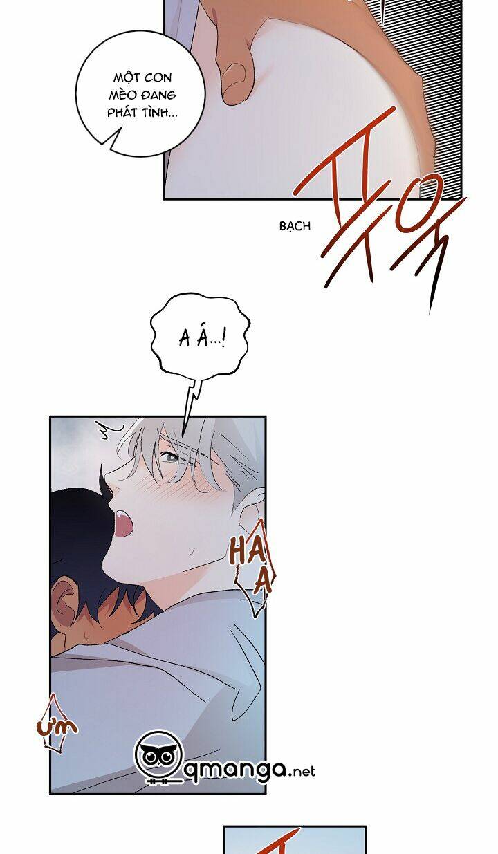 Kẻ Cắp Mặt Trăng: Chapter 22