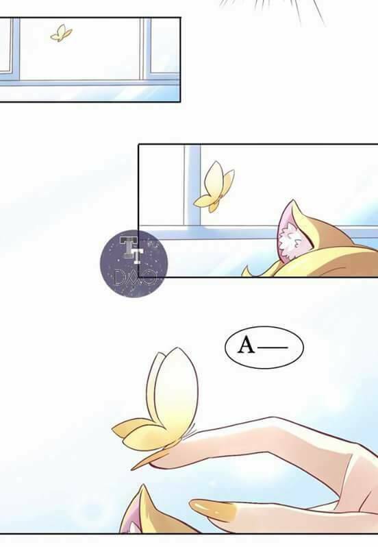 Dưới Móng Vuốt Mèo: Chapter 1