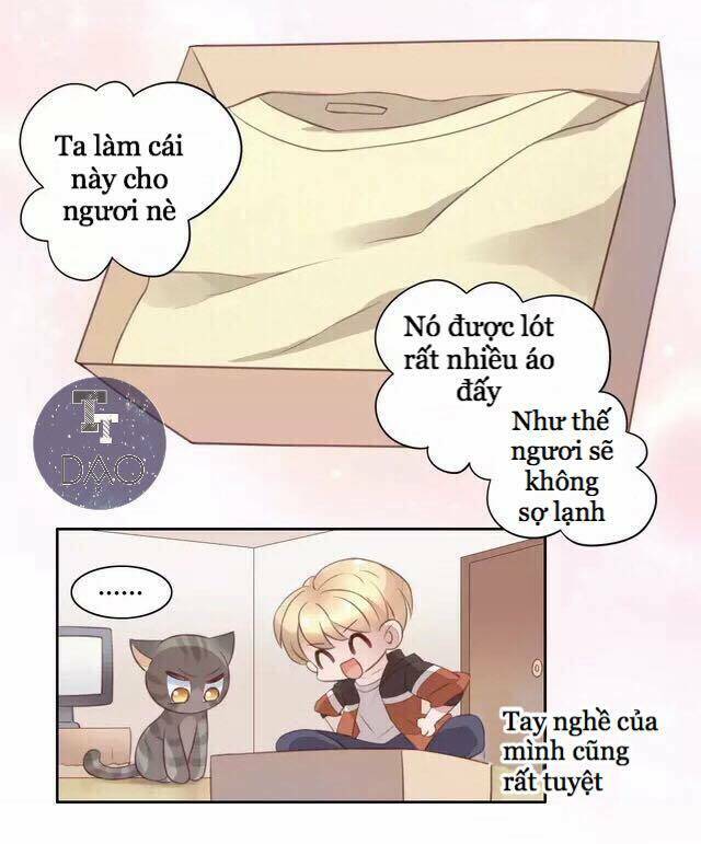 Dưới Móng Vuốt Mèo: Chapter 20