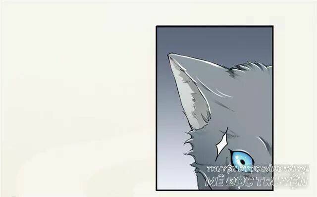 Tuyệt Thế Luyện Đan Sư: Chapter 17