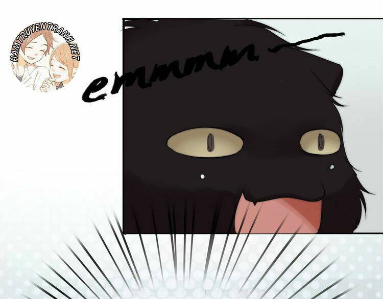 Viện Bảo Tàng Tâm Nguyện: Chapter 2.2