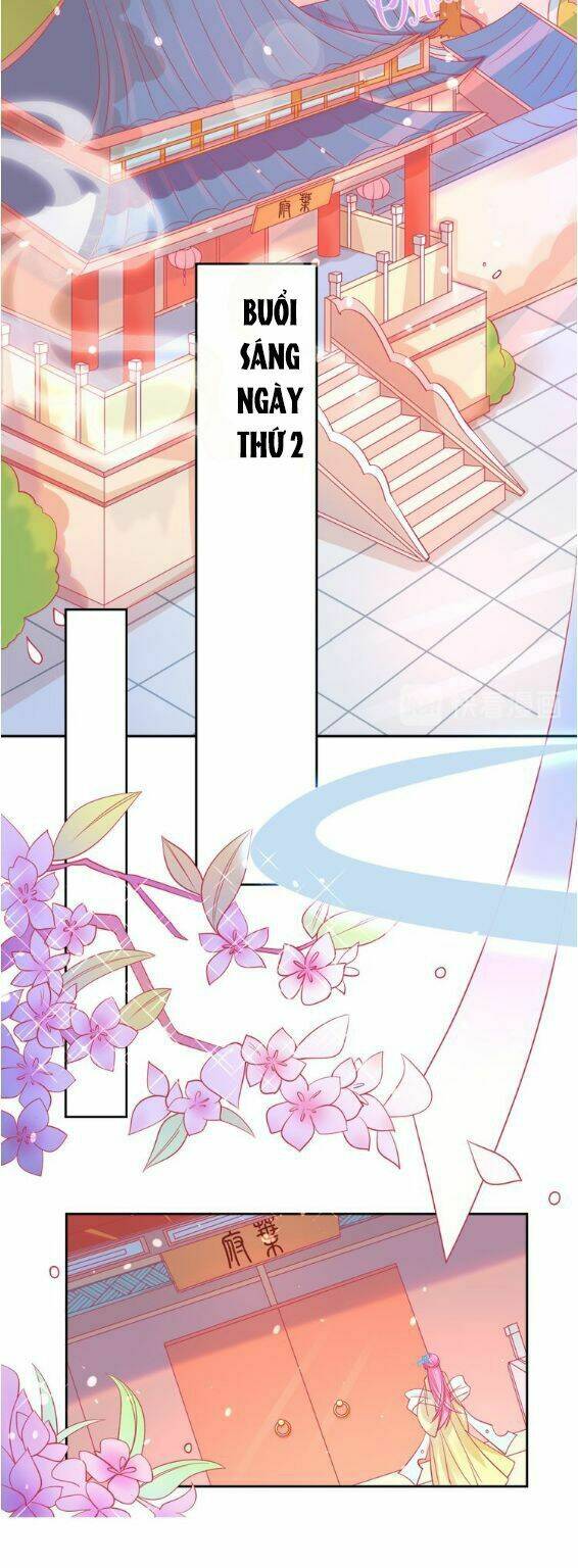 Bổn Vương Phi Có Roi Trong Tay: Chapter 6