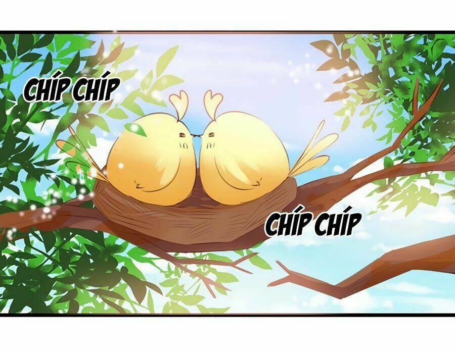 Bạn Trai Là Ngôi Sao: Chapter 17