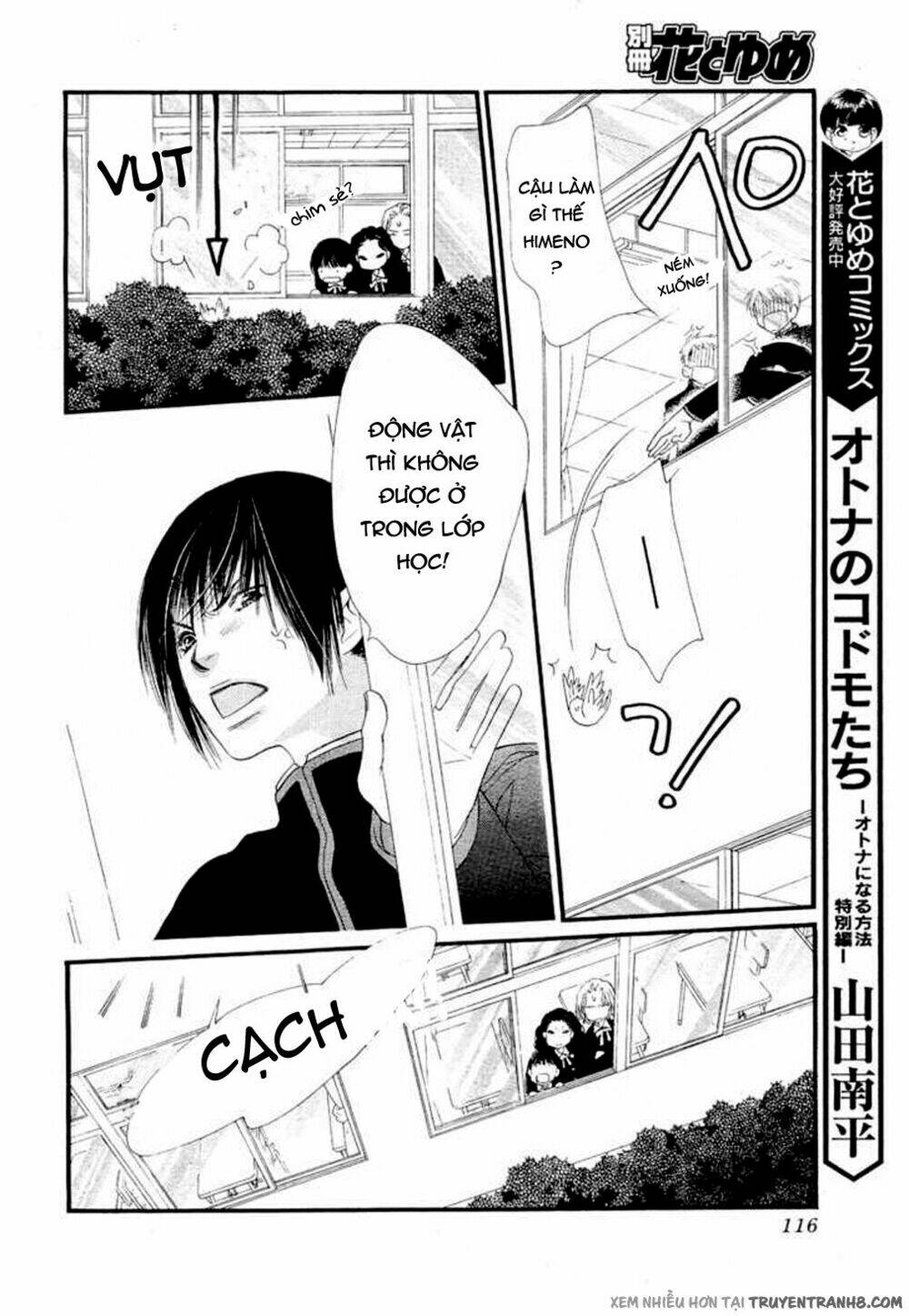 Orange Chocolate: Chapter 9