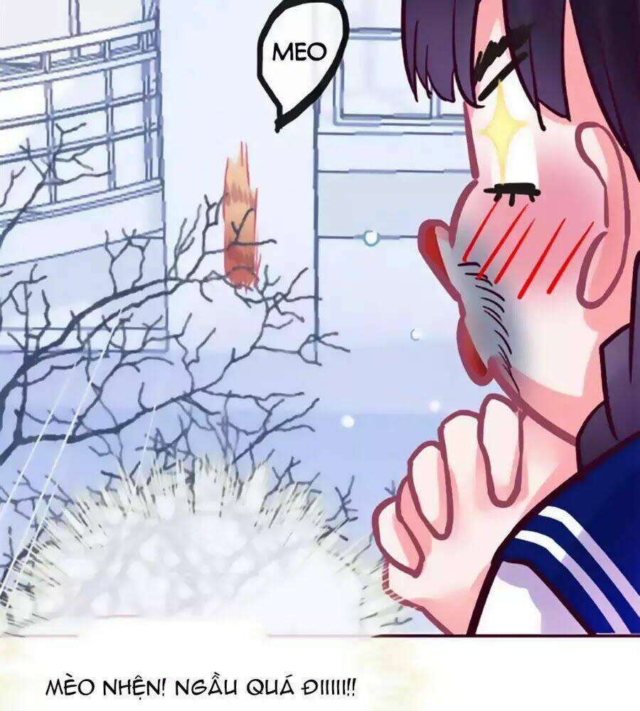 Đừng Nghịch, Ta Chỉ Muốn Yên Tĩnh: Chapter 69