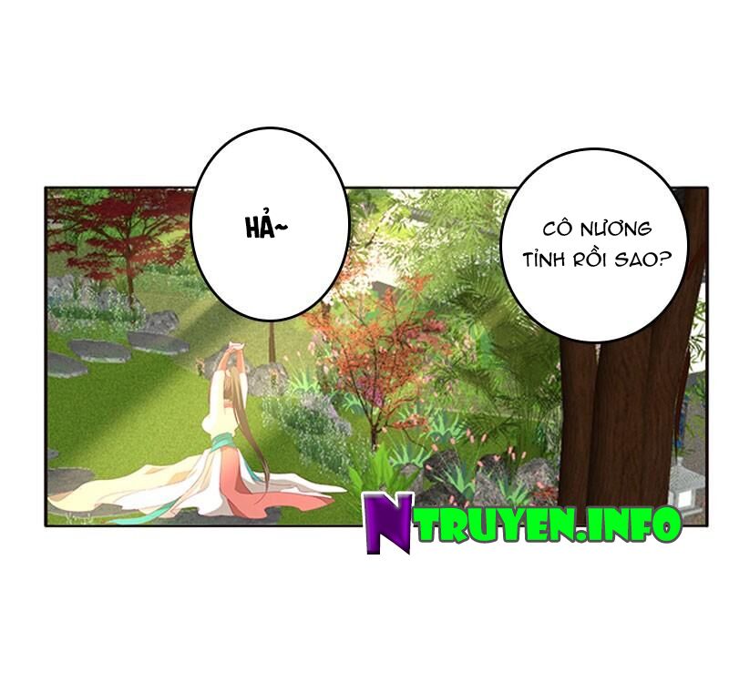 Thông Linh Phi: Chapter 384