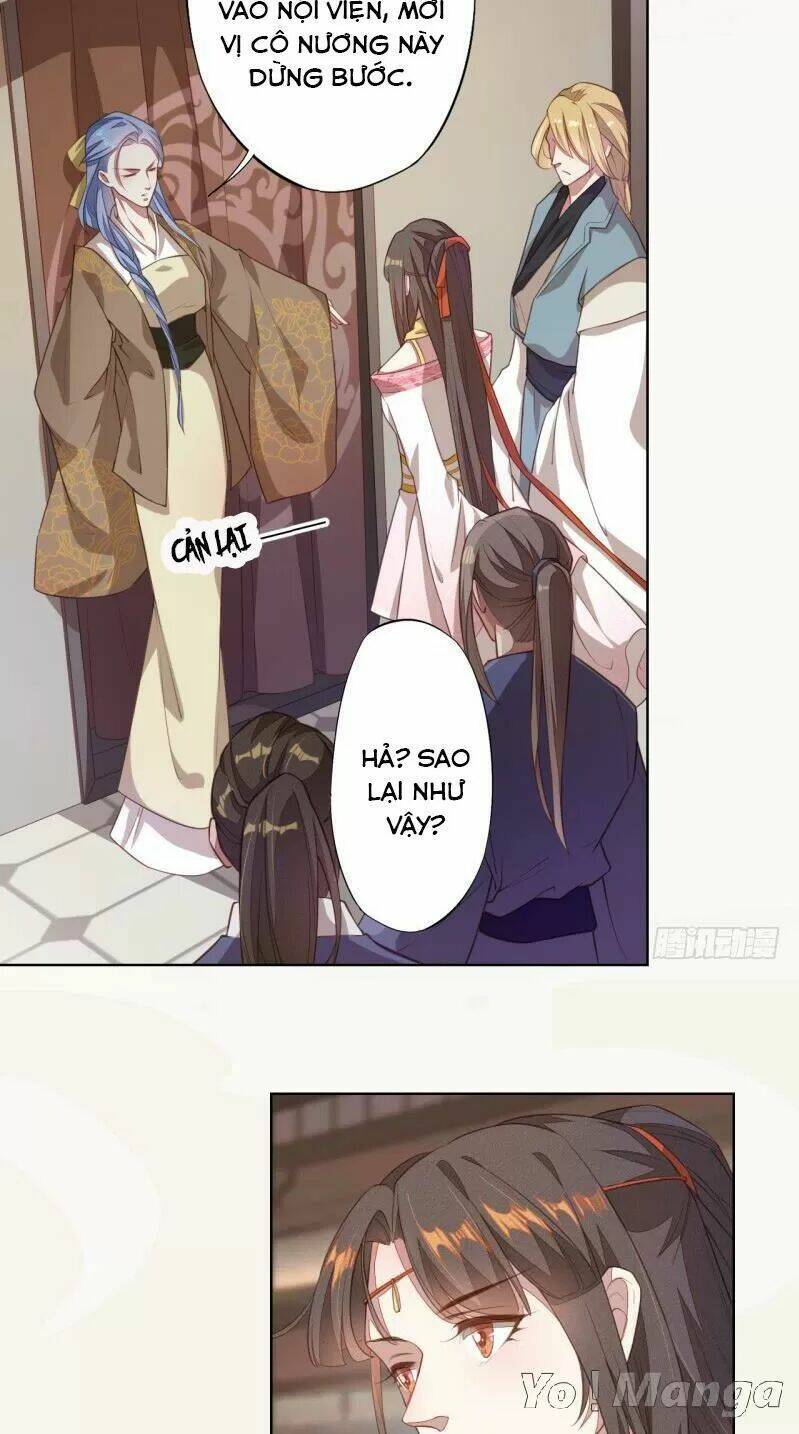 Tuyệt Thế Luyện Đan Sư: Chapter 103