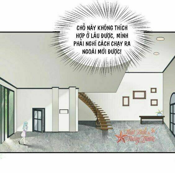 Cẩm Nang Nuôi Dưỡng Ông Xã: Chapter 1