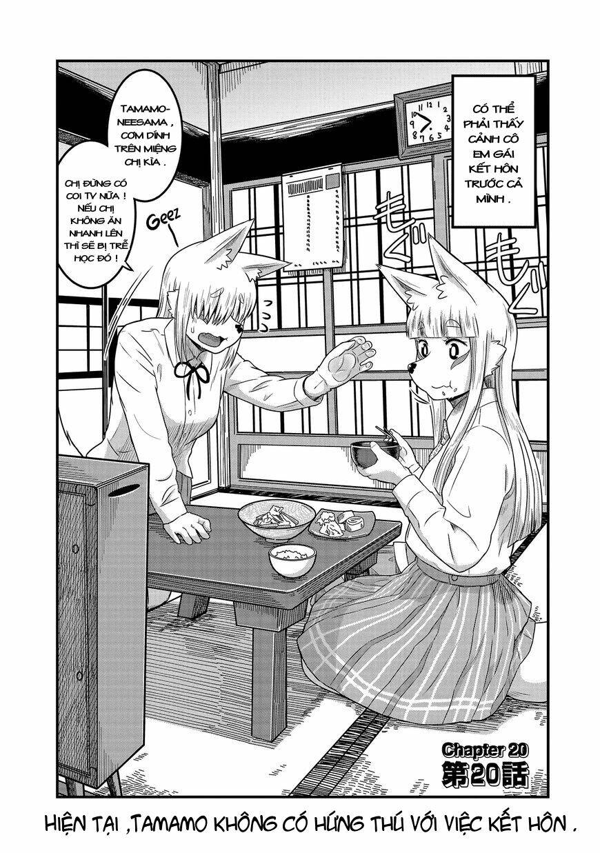 High School Inari Tamamo-Chan: Chapter 20