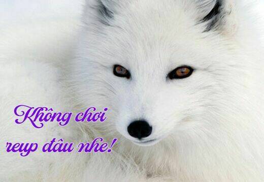 Ookami He No Yomeiri: Chapter 1