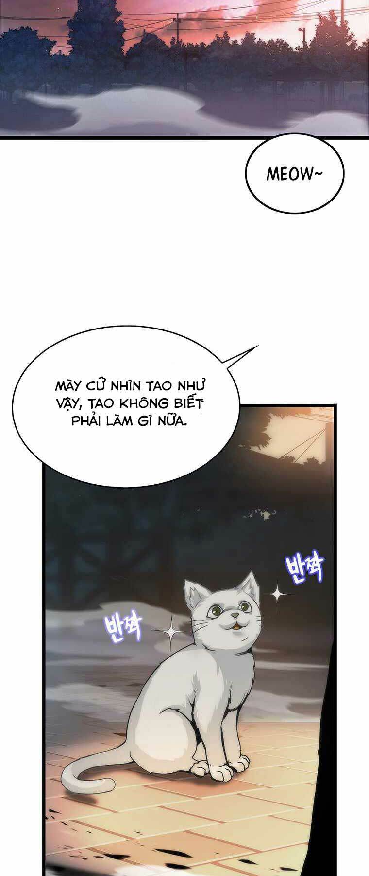 Hậu Duệ Của Hổ: Chapter 1
