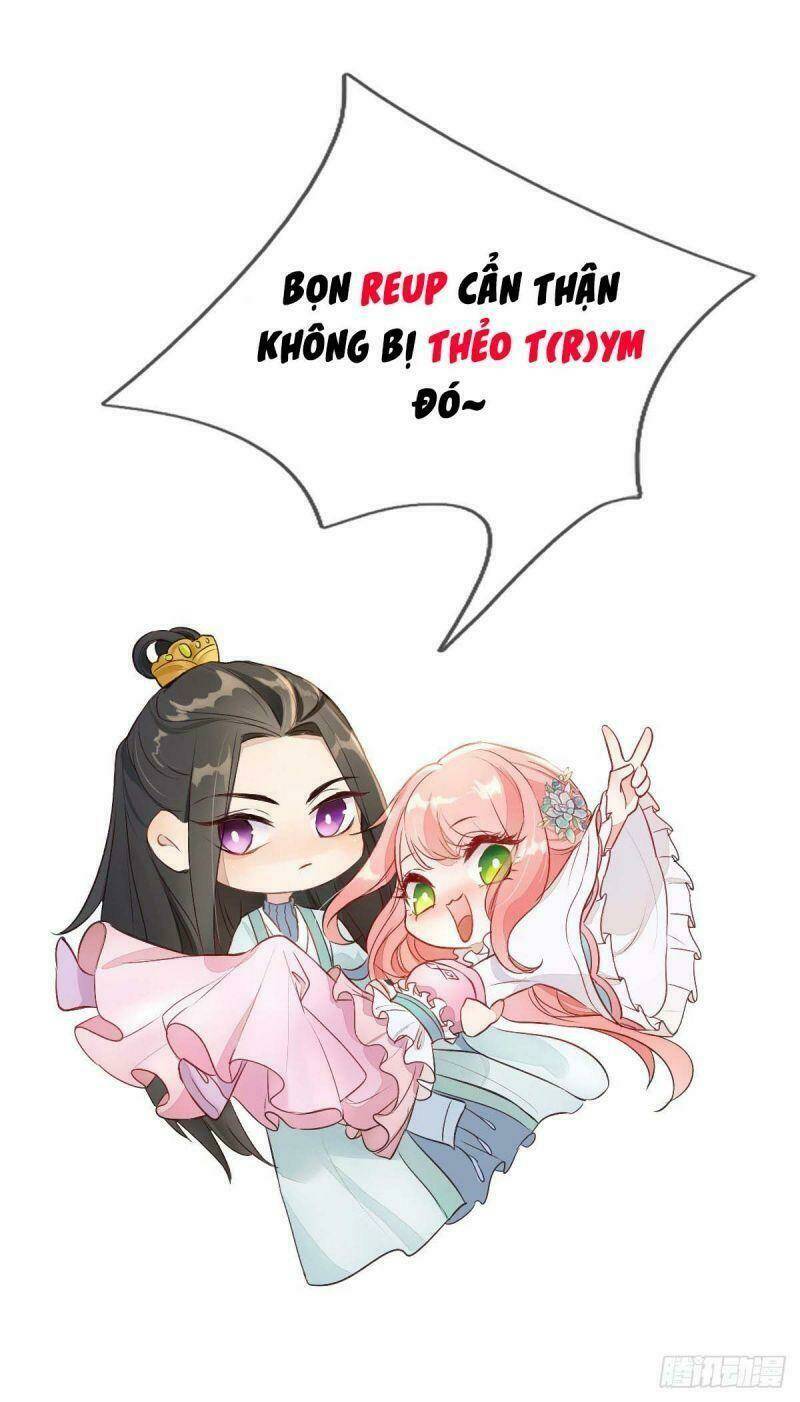 Đặc Công Cuồng Phi: Tuyệt Thế Tu Chân: Chapter 24