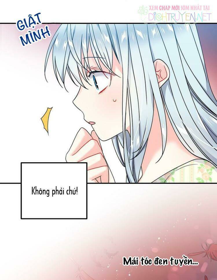 Vị Quản Gia Của Tiểu Thư: Chapter 1