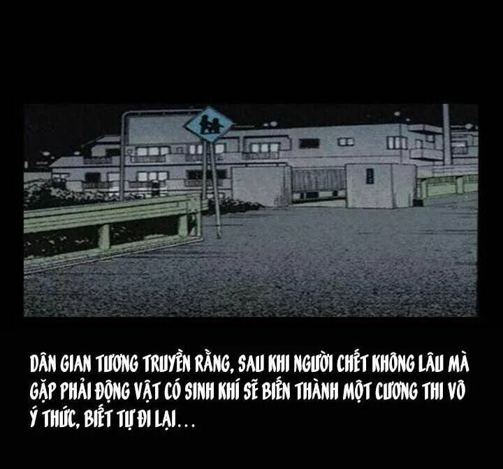 Kỳ Án Có Thật: Chapter 34