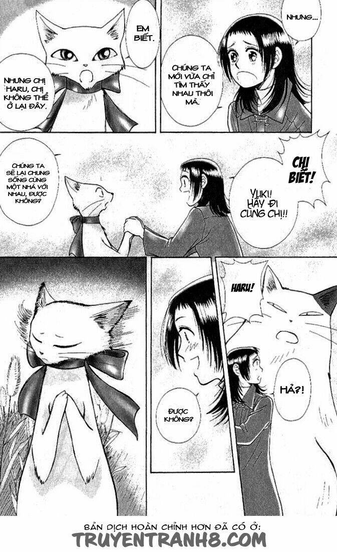 Lời Thì Thầm Từ Trái Tim: Chapter 8