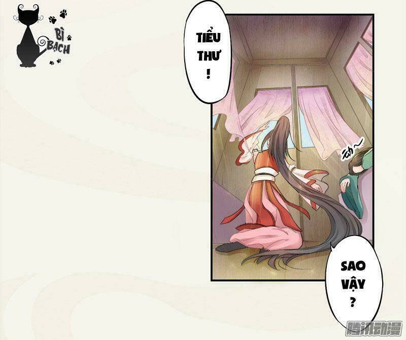 Tuyệt Thế Luyện Đan Sư: Chapter 3