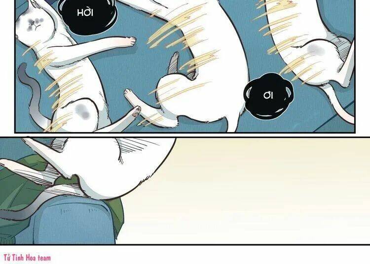 Thời Khắc Ấy, Chúng Ta Gặp Nhau: Chapter 17