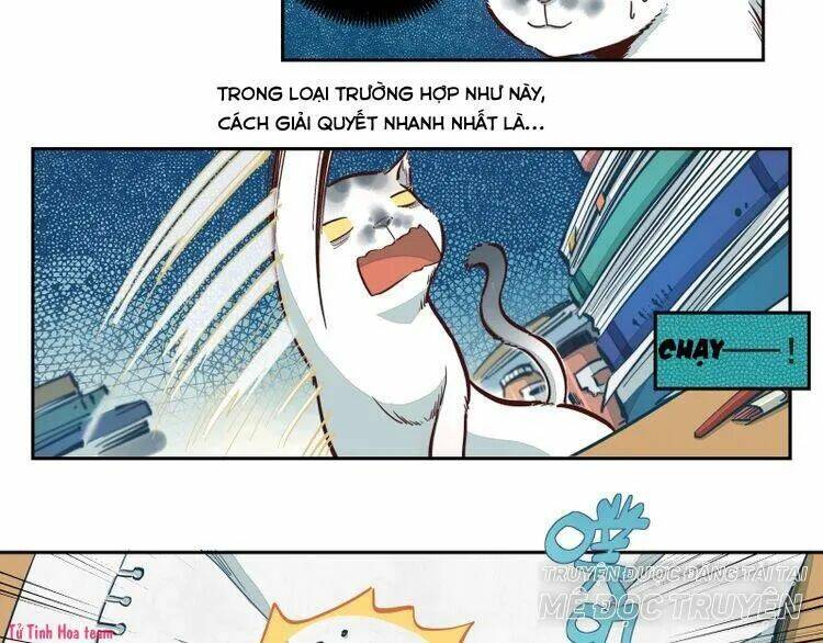 Thời Khắc Ấy, Chúng Ta Gặp Nhau: Chapter 18