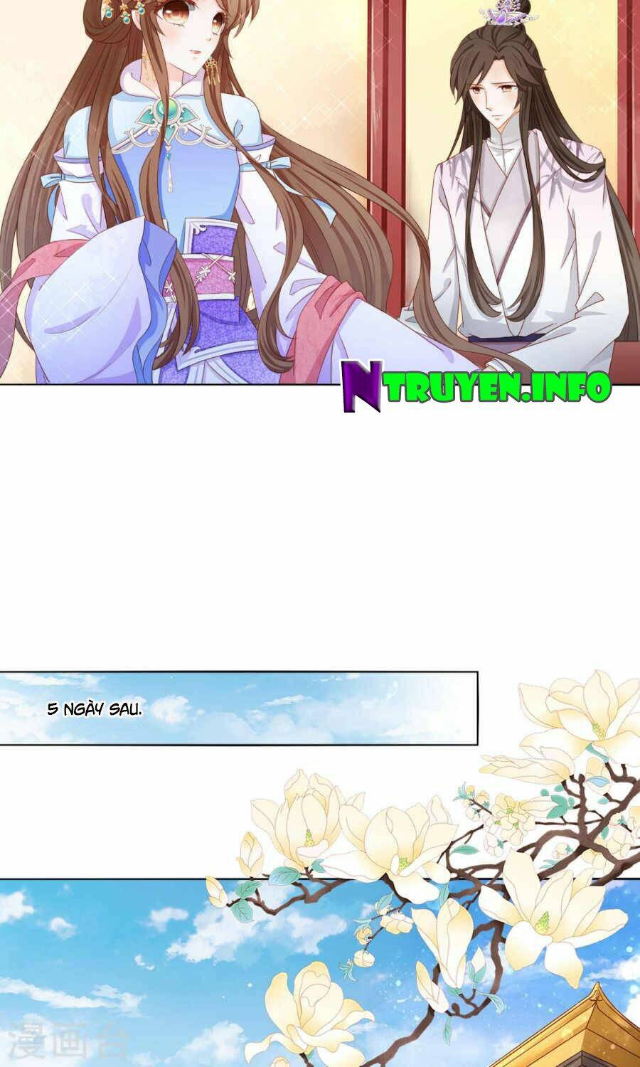 Nam Phi Nữ Tướng: Chapter 4