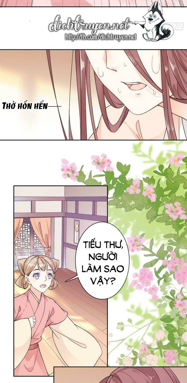 Tang Lạc Túy Tại Nam Phong Lý: Chapter 82