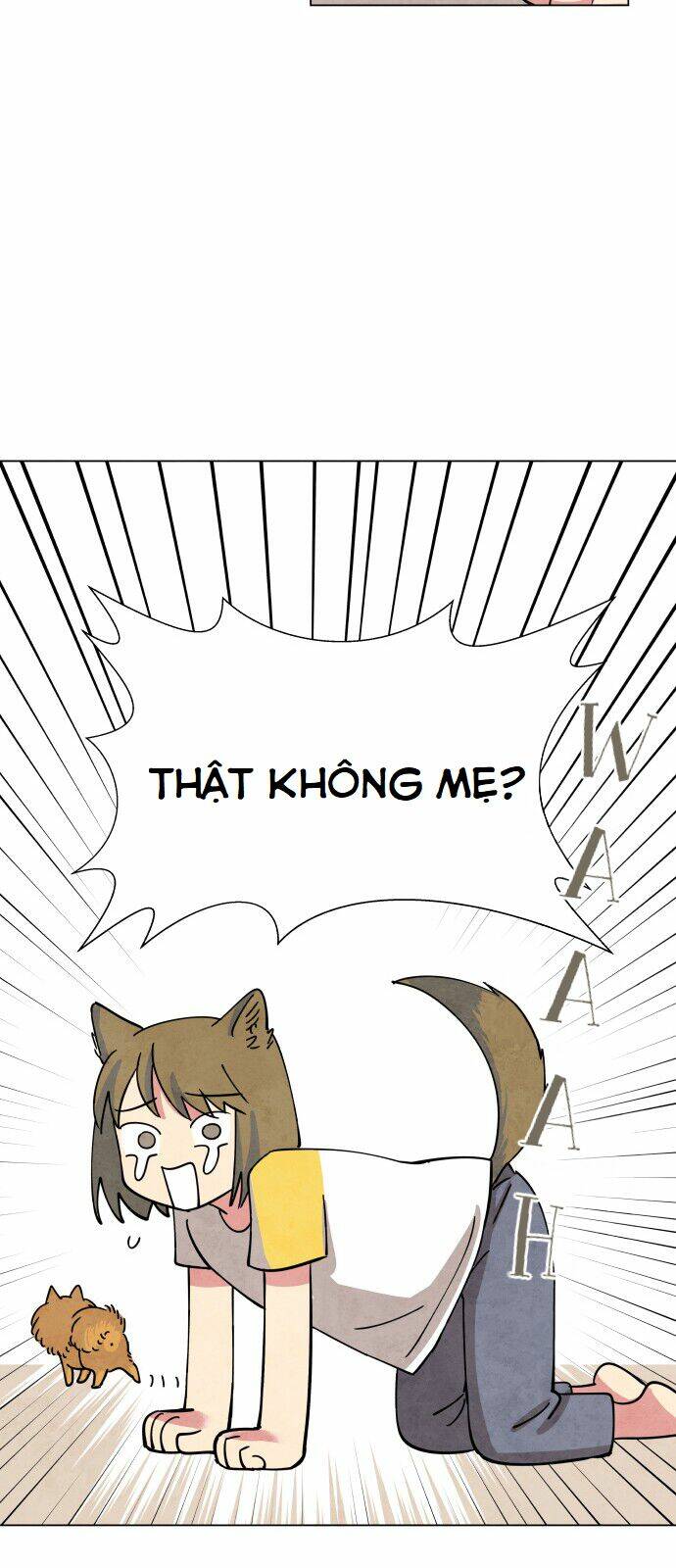 Tai Sói Và Mũ Đỏ: Chapter 1
