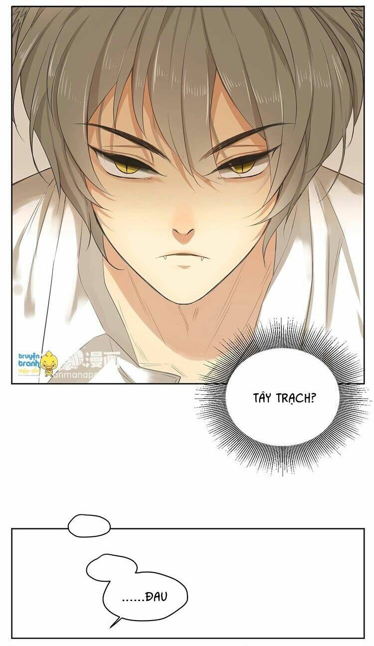 Phục Thù Thiếu Gia Tiểu Điềm Thê: Chapter 16