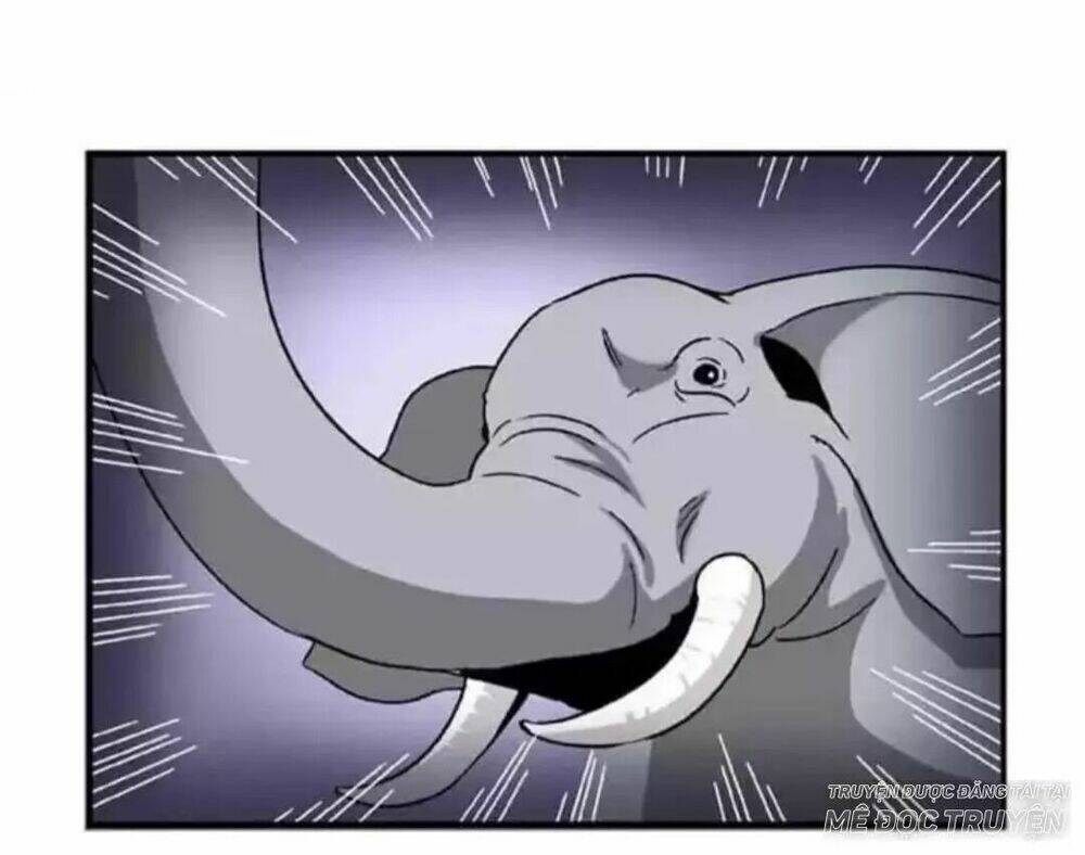 Tướng Quân Hữu Hỷ: Chapter 67