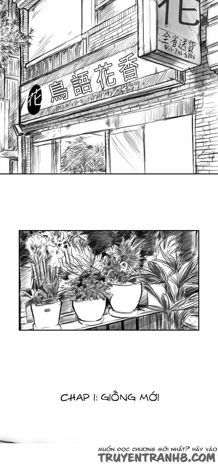 Hạt Giống Mỹ Nhân: Chapter 1