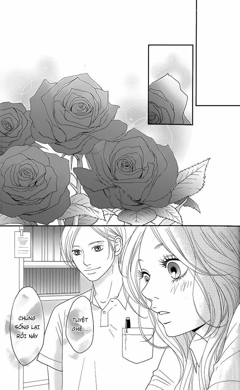 Đóa Hoa Năm Ấy: Chapter 1