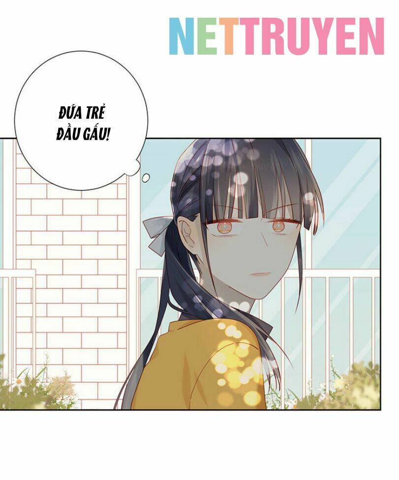 Lời Thề Như Sương Triều: Chapter 6