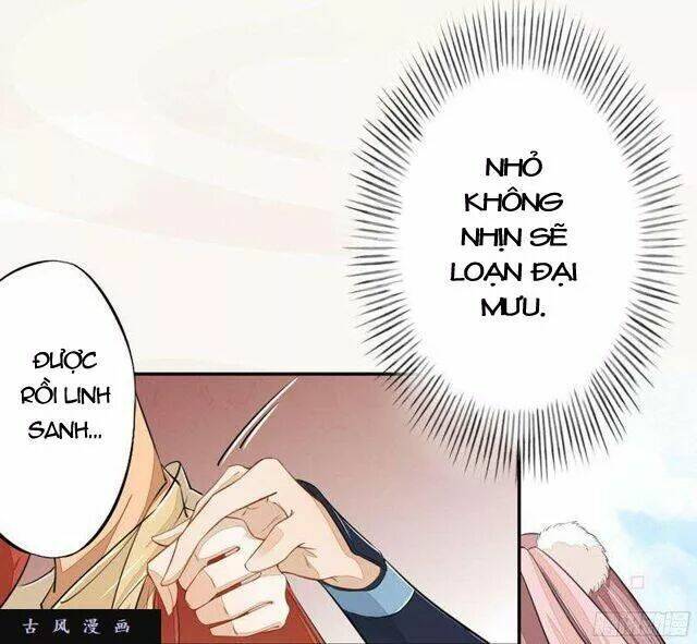 Tuyệt Thế Luyện Đan Sư: Chapter 23