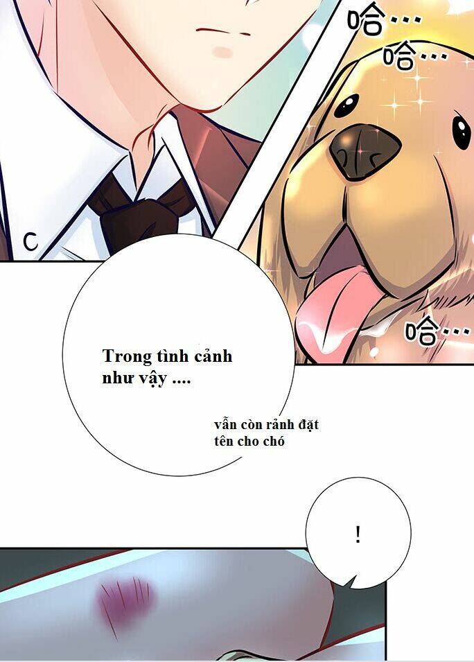 Trọng Sinh Để Ngủ Với Ảnh Đế: Chapter 133