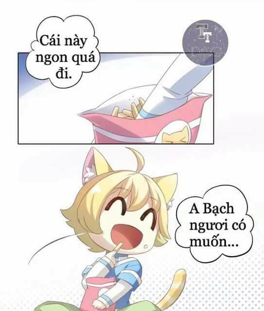 Dưới Móng Vuốt Mèo: Chapter 9