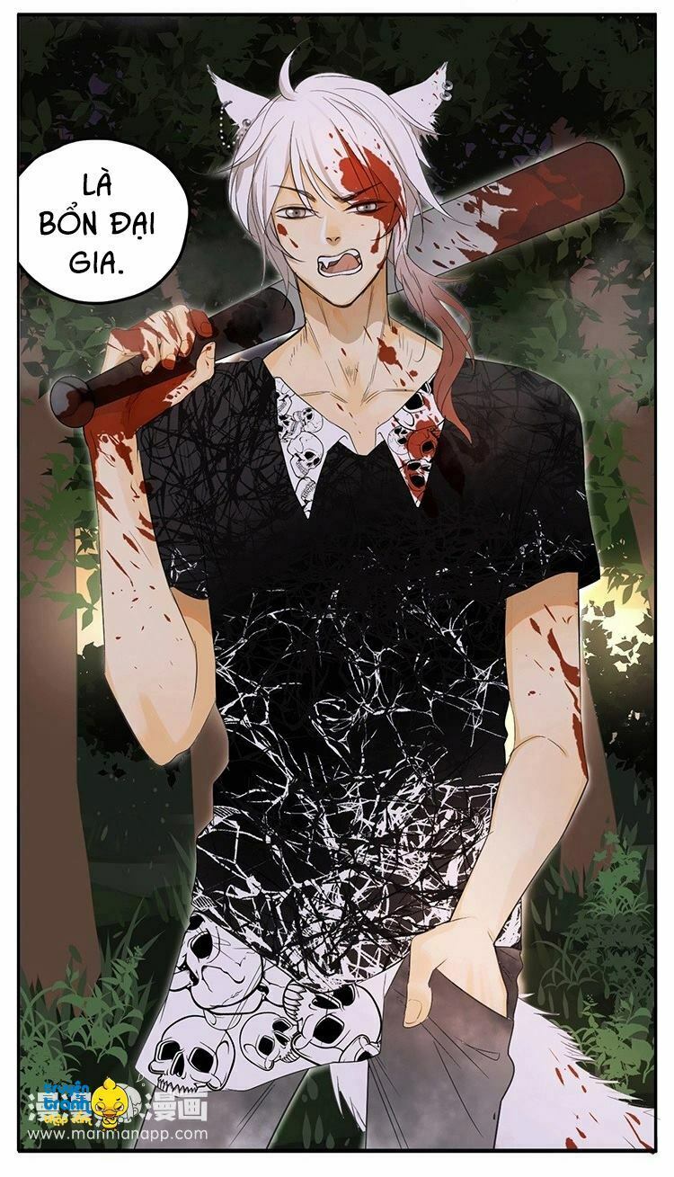 Cứu mạng ! Loài mèo thống trị thế giới rồi !: Chapter 18