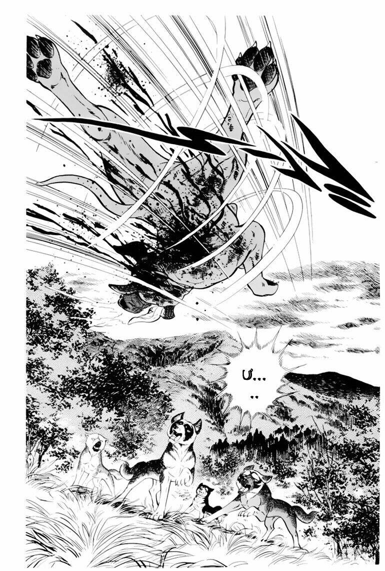 Chú Chó Có Nghĩa - Ginga Nagareboshi Gin: Chapter 32.1
