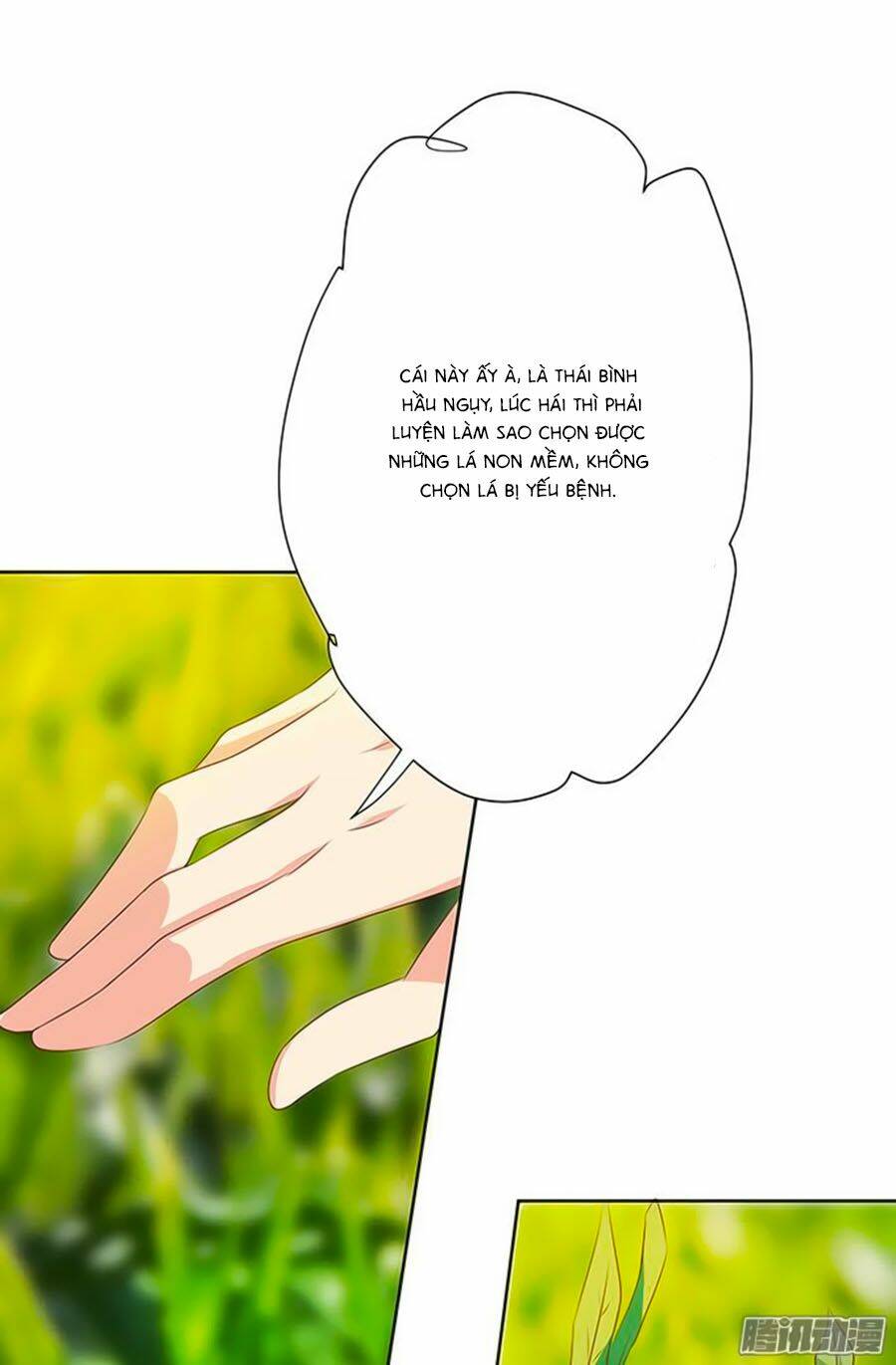 Bạn Trai Là Ngôi Sao: Chapter 72