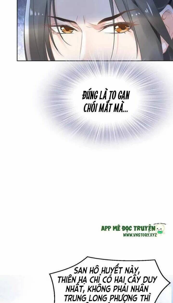 Nhất Sinh Nhất Thế Tiếu Thương Khung: Chapter 16