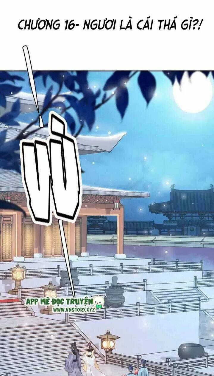 Nhất Sinh Nhất Thế Tiếu Thương Khung: Chapter 16