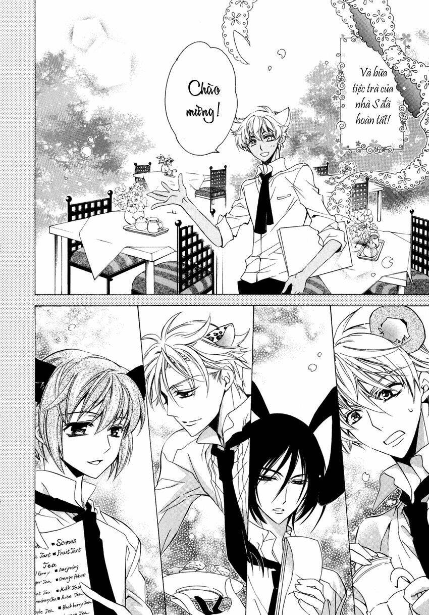 S.L.H (Stray Love Hearts): Chapter 4