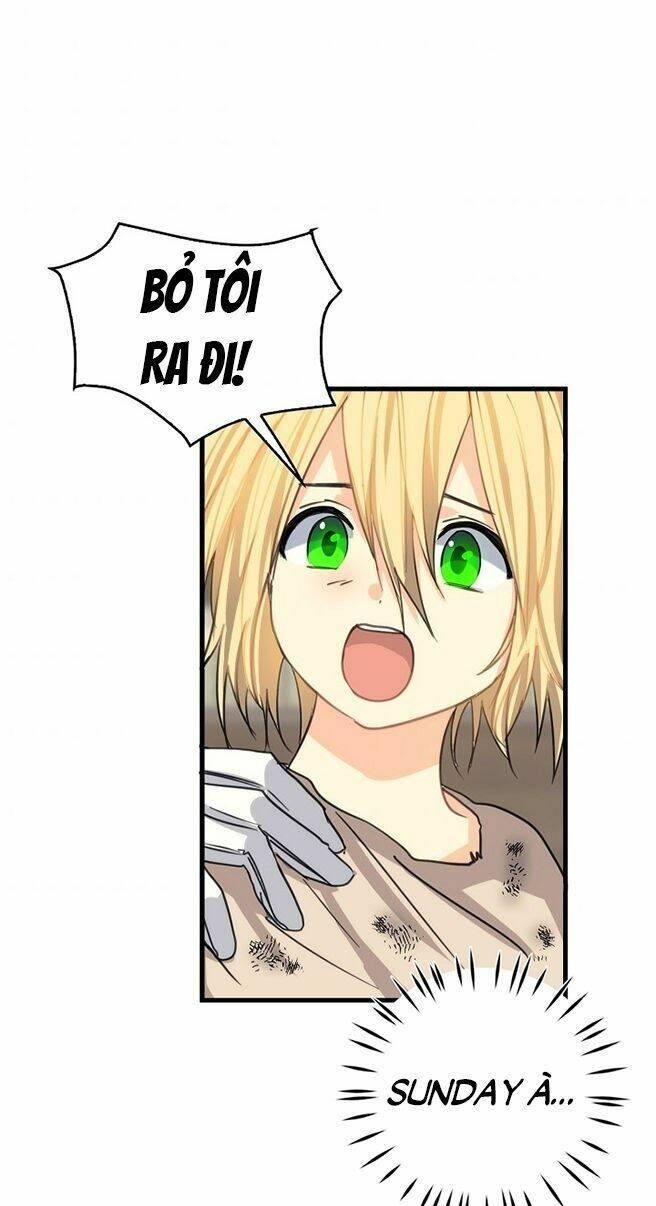 Ba Người Anh Trai Của Tôi Là Bạo Quân: Chapter 5