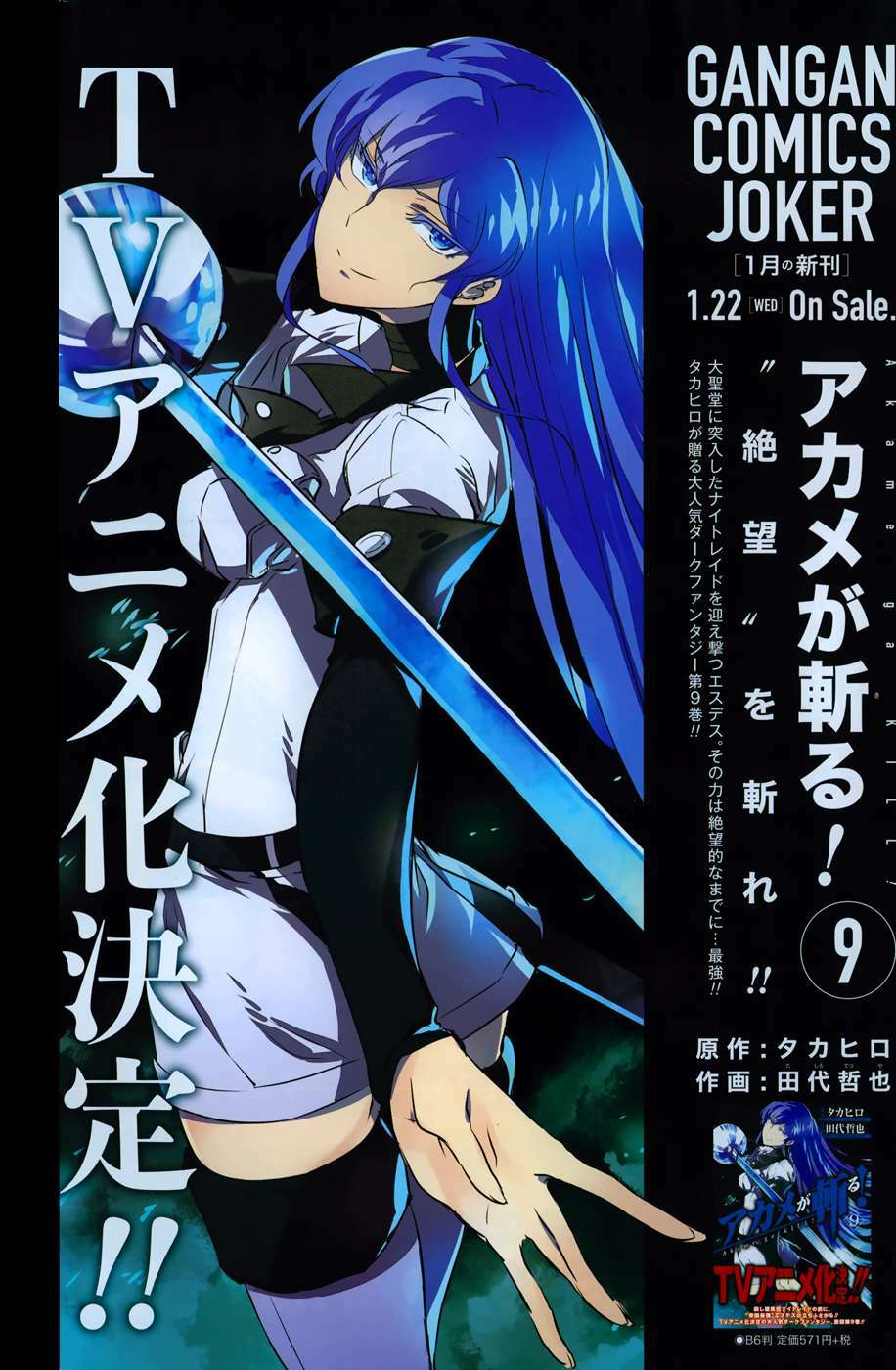 Akame Ga Kiru: Chapter 45